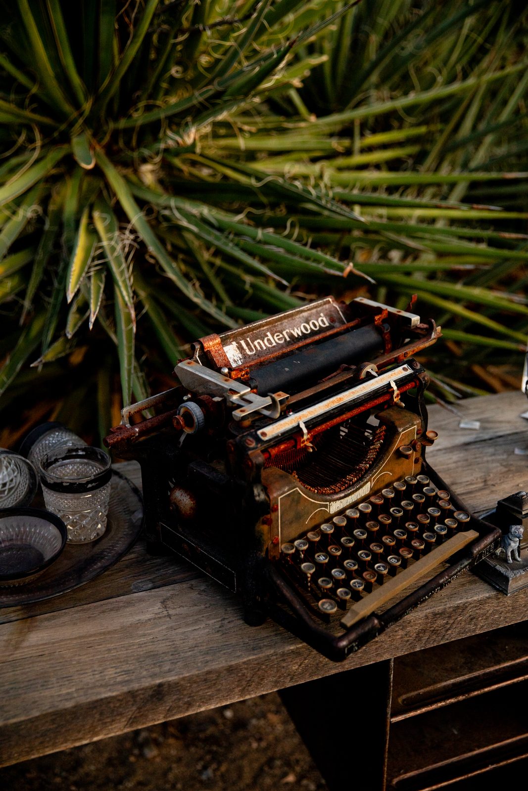 A rusted Underwood typewriter glowing in warm evening light against a wall of wild yucca